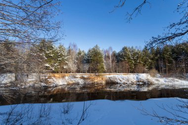 Nehirde güzel bir bahar sabahı. Buz tutmuş uzun ağaçlar..