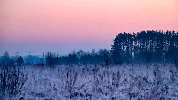 Vackert vårlandskap. Höga frostiga träd täckta med frost. — Stockfoto