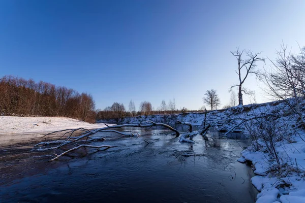 Schöner Frühlingsmorgen auf dem Fluss. Hohe, frostige Bäume mit Frost bedeckt. — Stockfoto