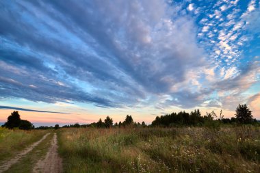 A field with road in summer evening.