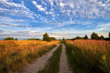 A field with road in summer evening.
