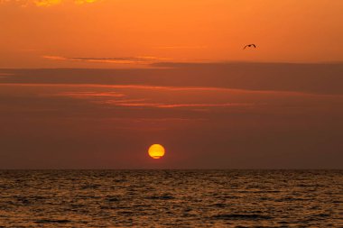 Denizde güzel bir yaz günbatımı. Deniz manzarası