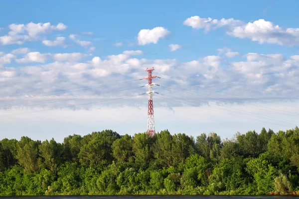 Torre eléctrica se encuentra en medio del bosque. — Foto de Stock