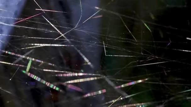 Güneşte rüzgardan gelen çok renkli örümcek ağı kancaları. Seçici odak. — Stok video
