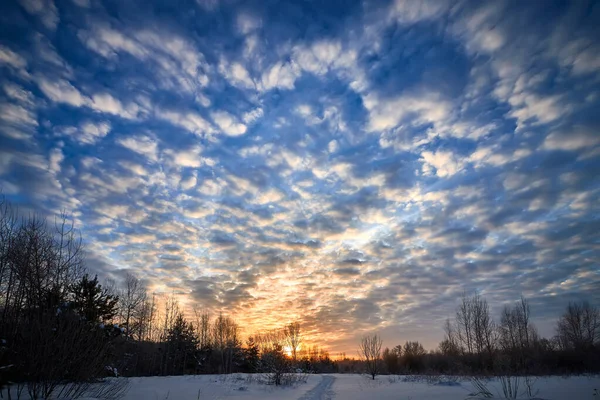 Majestätische Winterlandschaft. Wintersonnenaufgang im Wald. — Stockfoto