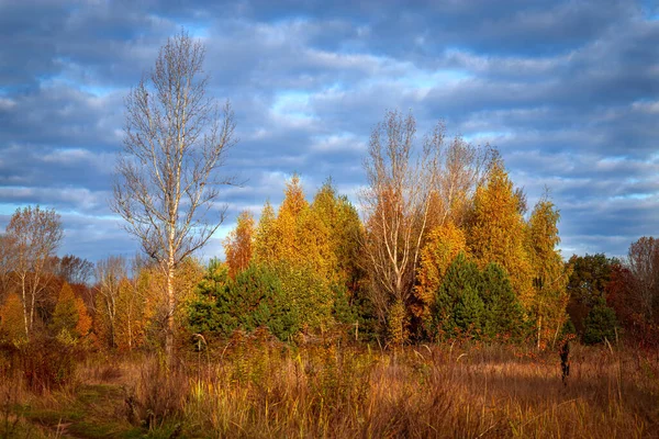 Φθινοπωρινή φύση. Ζωντανό πρωινό σε πολύχρωμο δάσος. Όμορφο φθινοπωρινό τοπίο. — Φωτογραφία Αρχείου