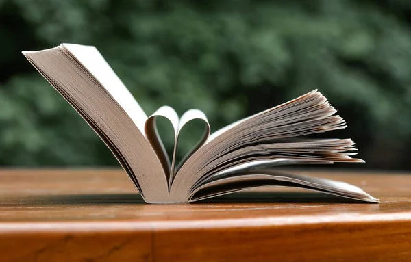 Photo of a book with pages formed as a heart shape