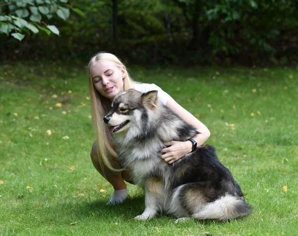 Portrait Une Femme Chien Finlandais Lapphund Câlinant Extérieur Dans Cour — Photo
