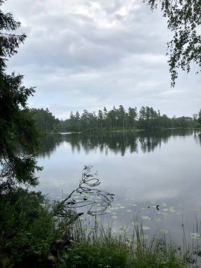Göl manzarası ve ağaçların yansıması.