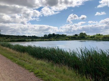 Yaz mevsiminde göl ve gökyüzünün manzara fotoğrafı