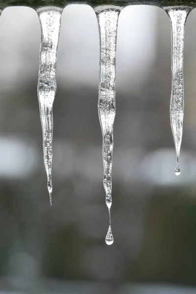 Close Macro Icicles Cold Winter Season — Stock Photo, Image