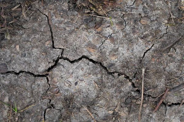 Closeup or macro of dry ground with cracks