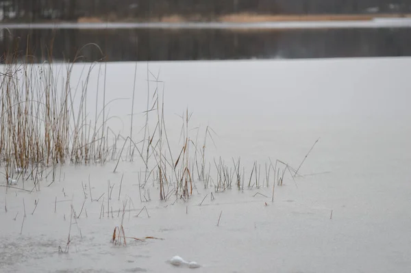 Landscape Photo Lake Winter Snow — Photo