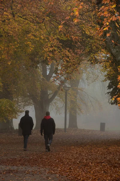 Photo of a path in park while foggy weather in autumn
