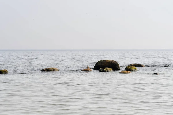 Denizde Taş Kaya Resimleri — Stok fotoğraf