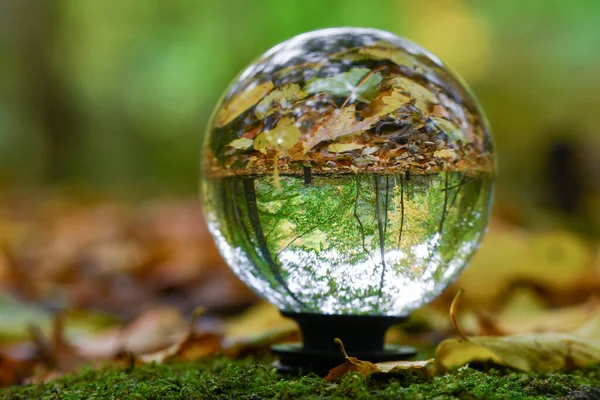 Een Kristallen Bol Natuur Herfst Herfst Rechtenvrije Stockfoto's