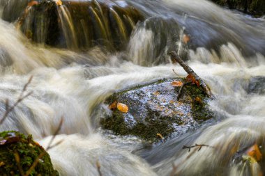 Sonbahar ya da sonbahar mevsiminde nehirde akan suyun fotoğrafı
