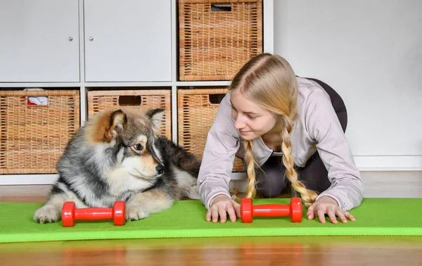 Evde Fince Lapphund köpeğiyle birlikte çalışan sarışın kadın ya da kız.