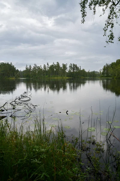 Landschapsfoto Van Reflectie Van Groene Bomen Een Meer — Stockfoto