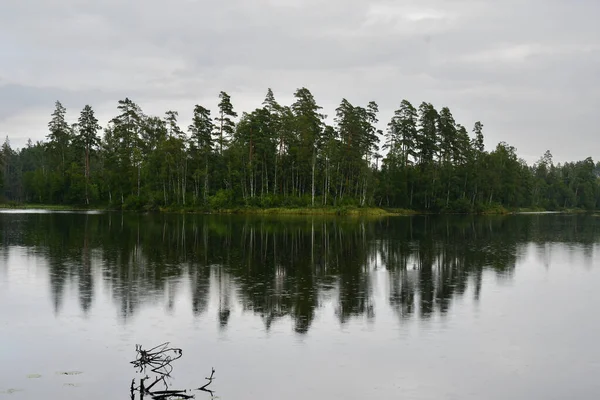 Paisagem Foto Reflexão Árvores Verdes Lago — Fotografia de Stock