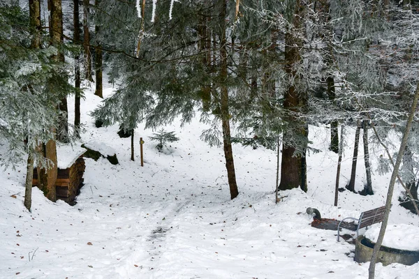 Paesaggio Foto Sentiero Nella Foresta Durante Neve Stagione Invernale — Foto Stock