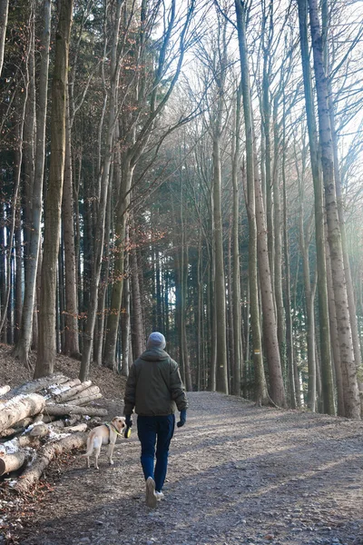 A man from behind walking in mountains during snow and winter season