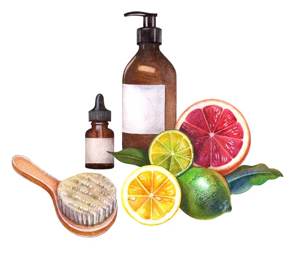 Spa konsepti. Banyo zamanı. Banyo aksesuarları, fırça, meyve, şişe. Kozmetik, dükkan, güzellik salonu ve organik sağlık ürünleri için el yapımı suluboya çizimi