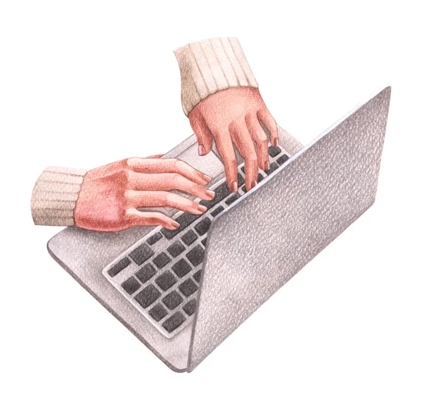 Bilgisayarda çalışan bir kadın. Laptop klavyesinde yazı yazılıyor. Ev ofisi, çevrimiçi iş pazarlama veya öğrenme konsepti. Çevrimiçi mağazalar. Suluboya çizimi