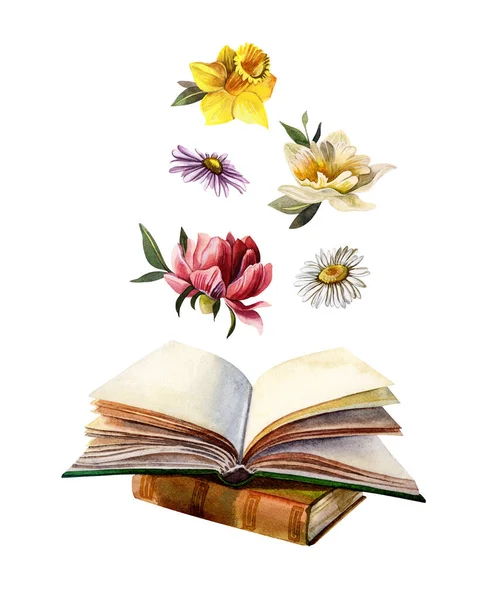 Açık kitap, çiçekler. Suluboya çizimi. Kitap sever. El çizimi.