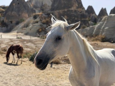 Kapadokya volkanik manzarası için son derece ilginçtir.