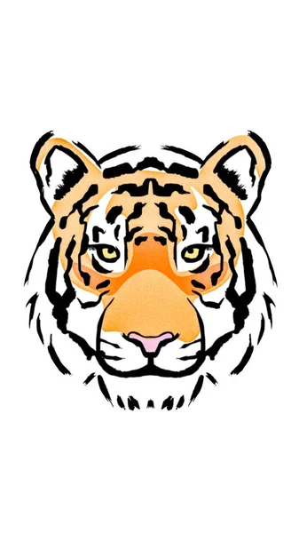 Tiger Dyr Grafisk Design Til Dit Projekt - Stock-foto