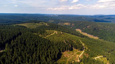 aerial view of the forest in the thuringian forest