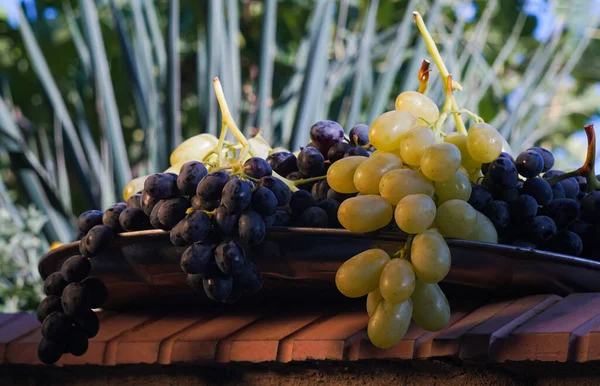 Tray Black Yellow Grapes Hung Grape Lag — Stock Photo, Image