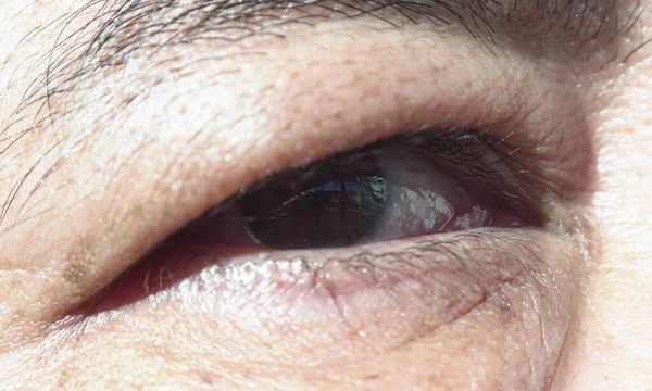 Дорослі Чоловічі Очі Макрозображення — стокове фото