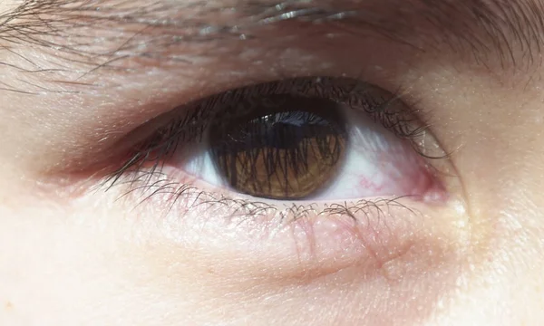 Kızın Gözleri Kızın Gözleri Bir Makro Görüntü — Stok fotoğraf