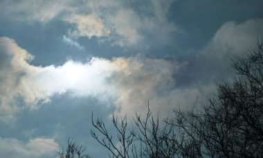                      Mavi gökyüzü bulutları ve ağaçlar, bulutlu hava          