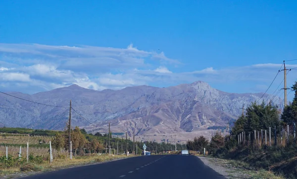 Δρόμος Προς Βουνό Αμπελώνες Κατά Μήκος Του Δρόμου — Φωτογραφία Αρχείου