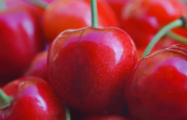 Large Red Cherry Macro Image — Stockfoto