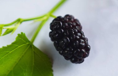                                 Beyaz arkaplanda kırmızı dut meyvesinin makro görüntüsü   