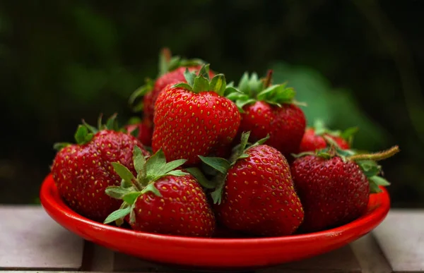 Strawberries Red Bowl Ripe Strawberries — Stock Photo, Image