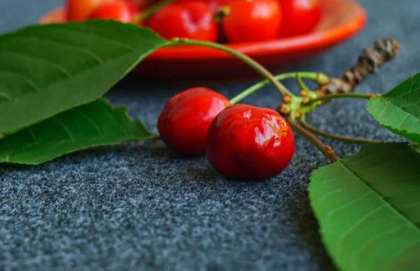 Liśćmi Czerwonych Owoców Wiśni — Zdjęcie stockowe