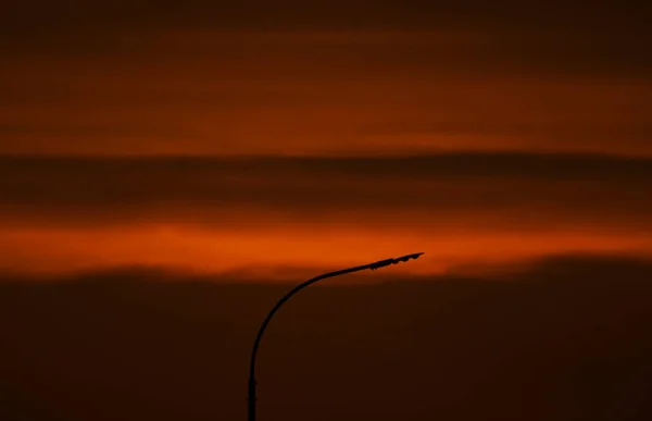 夕阳西下在街灯的电线后面 — 图库照片