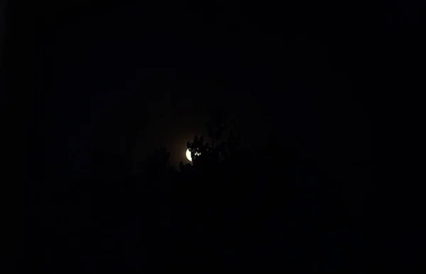 Луна Голубое Небо Закате Деревья — стоковое фото