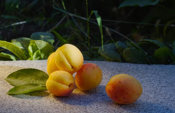 Fruta Albaricoque Amarillo Rojo Sobre Piedra Mármol —  Fotos de Stock