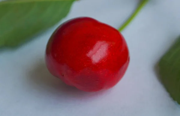 Uma Cereja Vermelha Fundo Branco — Fotografia de Stock