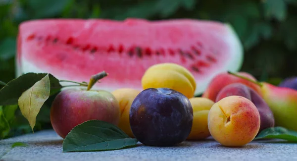 Verschiedene Früchte Und Eine Scheibe Wassermelone Der Freien Natur — Stockfoto