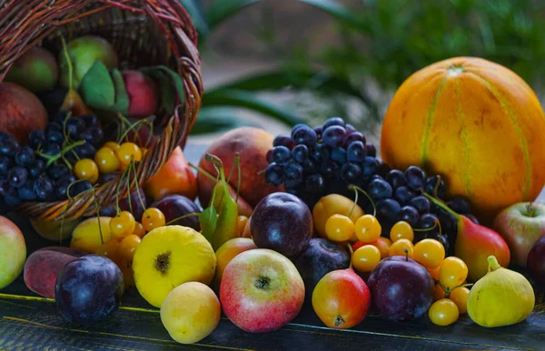 Alle Arten Von Früchten Sind Sommerfrüchte Auf Dem Tisch — Stockfoto