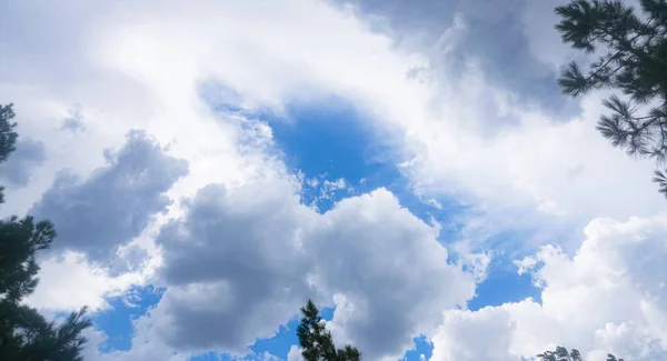 Blauwe Lucht Witte Wolken Boomtakken — Stockfoto