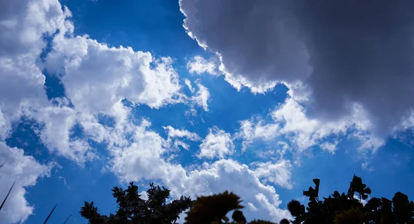 Blauwe Lucht Achter Grasbladeren Witte Wolken Lucht — Stockfoto