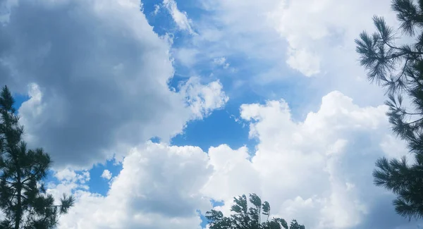 Blauwe Lucht Witte Wolken Boomtakken — Stockfoto
